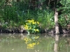 gelber-farbkleks-am-ufer.jpg